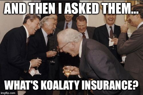 Laughing Men In Suits Meme | AND THEN I ASKED THEM... WHAT'S KOALATY INSURANCE? | image tagged in memes,laughing men in suits | made w/ Imgflip meme maker