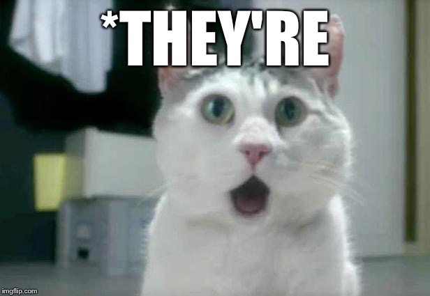 omg cat 1 | *THEY'RE | image tagged in omg cat 1 | made w/ Imgflip meme maker