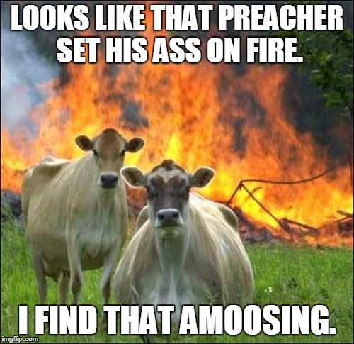 Evil Cows | LOOKS LIKE THAT PREACHER SET HIS ASS ON FIRE. I FIND THAT AMOOSING. | image tagged in memes,evil cows | made w/ Imgflip meme maker
