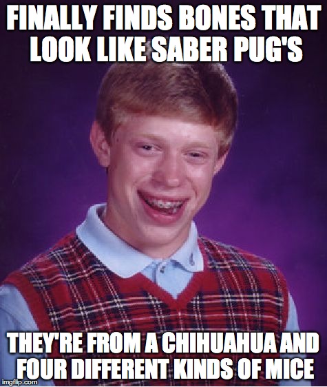 nhvet.jpg