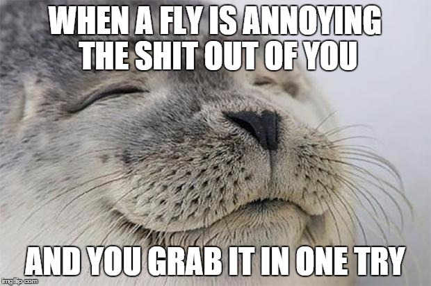 Satisfied Seal | WHEN A FLY IS ANNOYING THE SHIT OUT OF YOU AND YOU GRAB IT IN ONE TRY | image tagged in memes,satisfied seal,AdviceAnimals | made w/ Imgflip meme maker