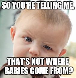 Skeptical Baby | SO YOU'RE TELLING ME, THAT'S NOT WHERE BABIES COME FROM? | image tagged in memes,skeptical baby | made w/ Imgflip meme maker