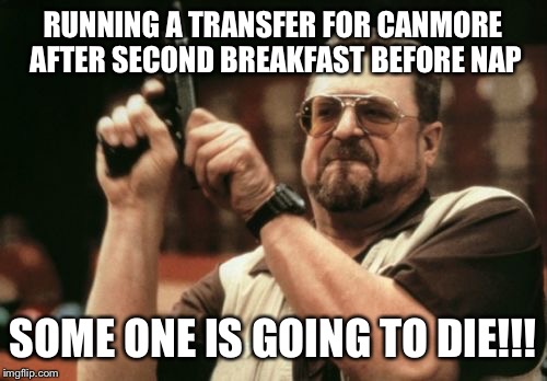 Am I The Only One Around Here | RUNNING A TRANSFER FOR CANMORE AFTER SECOND BREAKFAST BEFORE NAP SOME ONE IS GOING TO DIE!!! | image tagged in memes,am i the only one around here | made w/ Imgflip meme maker
