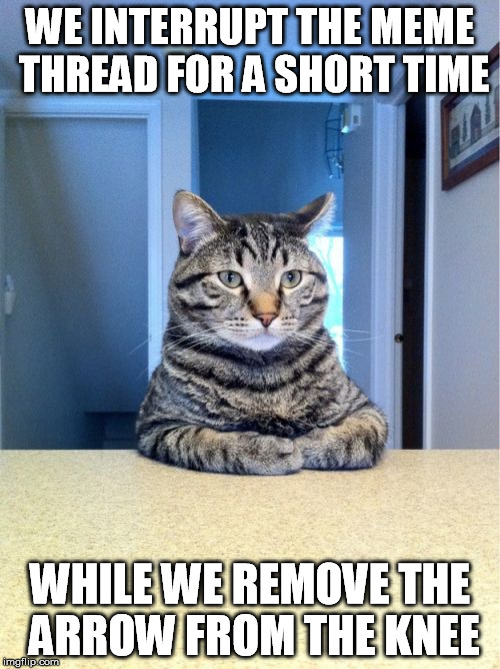 Take A Seat Cat Meme | WE INTERRUPT THE MEME THREAD FOR A SHORT TIME WHILE WE REMOVE THE ARROW FROM THE KNEE | image tagged in memes,take a seat cat | made w/ Imgflip meme maker