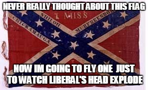 confederate flag | NEVER REALLY THOUGHT ABOUT THIS FLAG NOW IM GOING TO FLY ONE  JUST TO WATCH LIBERAL'S HEAD EXPLODE | image tagged in confederate flag | made w/ Imgflip meme maker