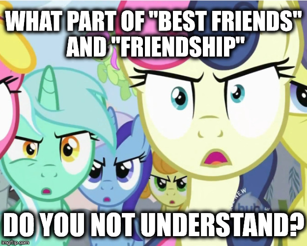 Lyra and Bon Bon, Friends in a Show about Friendship | WHAT PART OF "BEST FRIENDS" AND "FRIENDSHIP" DO YOU NOT UNDERSTAND? | image tagged in my little pony,mlp,brony,lyra heartstrings,bon bon,sweetie drops | made w/ Imgflip meme maker