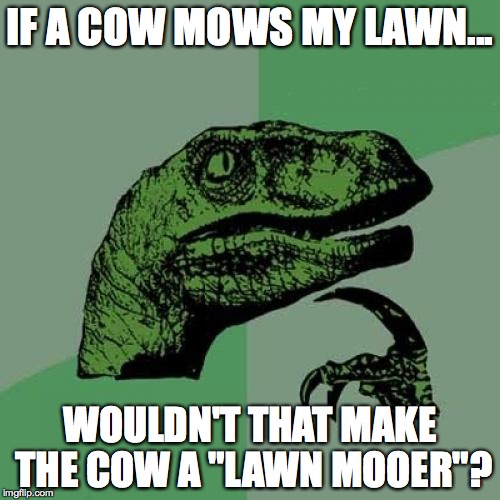 Philosoraptor | IF A COW MOWS MY LAWN... WOULDN'T THAT MAKE THE COW A "LAWN MOOER"? | image tagged in memes,philosoraptor | made w/ Imgflip meme maker