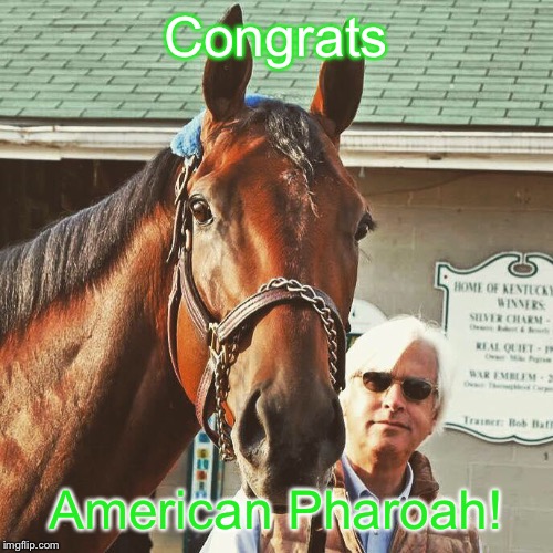 Congrats! ;D | Congrats American Pharoah! | image tagged in american pharoah,horse | made w/ Imgflip meme maker