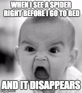 Angry Baby | WHEN I SEE A SPIDER RIGHT BEFORE I GO TO BED AND IT DISAPPEARS | image tagged in memes,angry baby | made w/ Imgflip meme maker