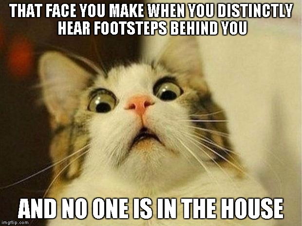 Scared Cat | THAT FACE YOU MAKE WHEN YOU DISTINCTLY HEAR FOOTSTEPS BEHIND YOU AND NO ONE IS IN THE HOUSE | image tagged in memes,scared cat | made w/ Imgflip meme maker