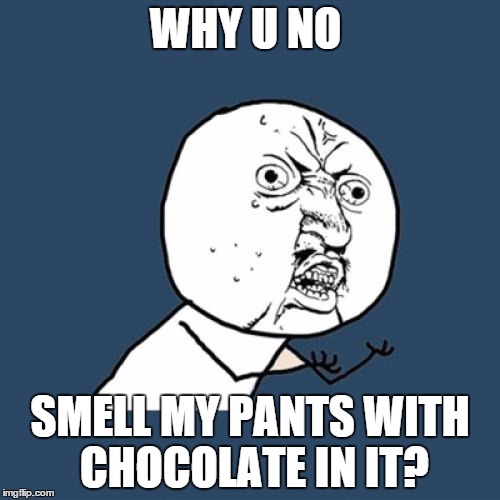 Y U No Meme | WHY U NO SMELL MY PANTS WITH CHOCOLATE IN IT? | image tagged in memes,y u no | made w/ Imgflip meme maker