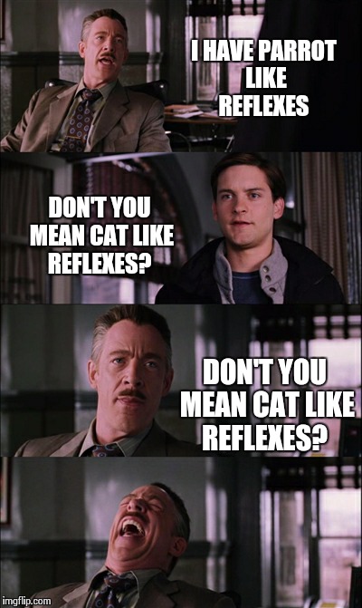 Spiderman Laugh | I HAVE PARROT LIKE REFLEXES DON'T YOU MEAN CAT LIKE REFLEXES? DON'T YOU MEAN CAT LIKE REFLEXES? | image tagged in memes,spiderman laugh | made w/ Imgflip meme maker