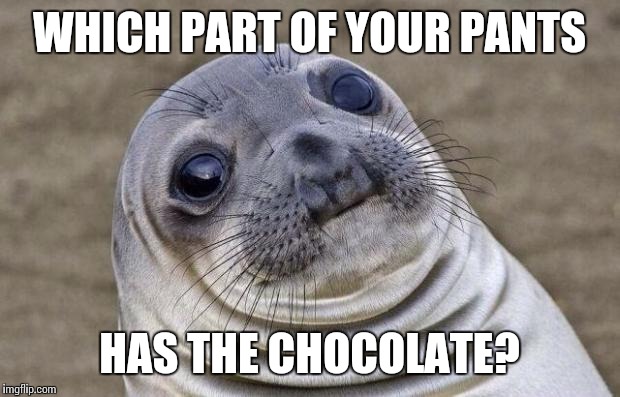 Awkward Moment Sealion Meme | WHICH PART OF YOUR PANTS HAS THE CHOCOLATE? | image tagged in memes,awkward moment sealion | made w/ Imgflip meme maker