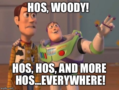 X, X Everywhere Meme | HOS, WOODY! HOS, HOS, AND MORE HOS...EVERYWHERE! | image tagged in memes,x x everywhere | made w/ Imgflip meme maker