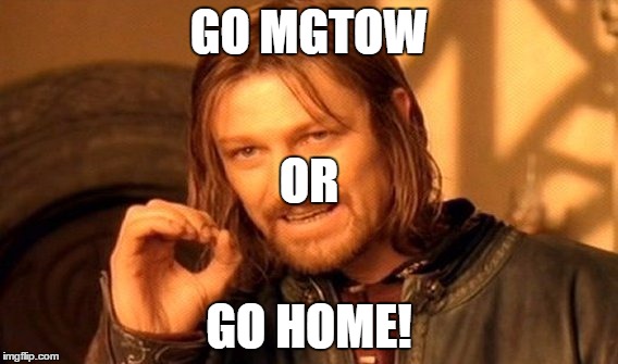 One Does Not Simply | GO MGTOW GO HOME! OR | image tagged in memes,one does not simply | made w/ Imgflip meme maker