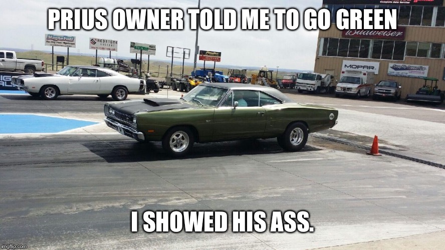 PRIUS OWNER TOLD ME TO GO GREEN I SHOWED HIS ASS. | image tagged in bee | made w/ Imgflip meme maker