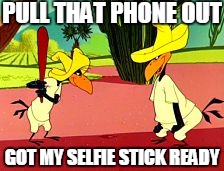 Another selfie stick | PULL THAT PHONE OUT GOT MY SELFIE STICK READY | image tagged in old birds,funny | made w/ Imgflip meme maker