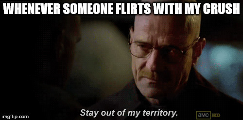 Whenever someone flirts with my crush | WHENEVER SOMEONE FLIRTS WITH MY CRUSH | image tagged in crush,breaking bad | made w/ Imgflip meme maker