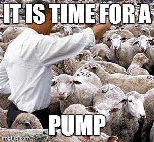 obama sheep | IT IS TIME FOR A PUMP | image tagged in obama sheep | made w/ Imgflip meme maker