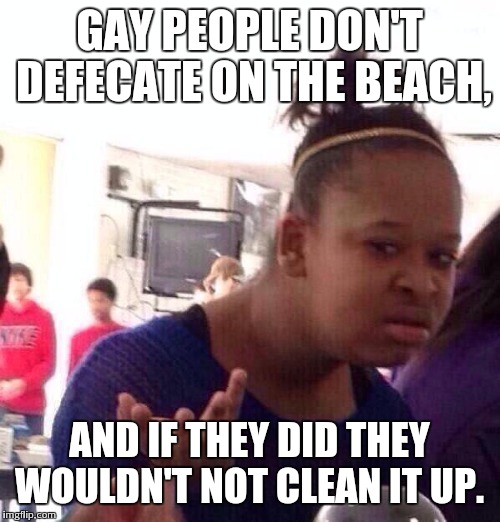 Black Girl Wat Meme | GAY PEOPLE DON'T DEFECATE ON THE BEACH, AND IF THEY DID THEY WOULDN'T NOT CLEAN IT UP. | image tagged in memes,black girl wat | made w/ Imgflip meme maker