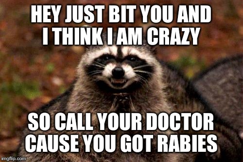 Evil Plotting Raccoon Meme | HEY JUST BIT YOU AND I THINK I AM CRAZY SO CALL YOUR DOCTOR CAUSE YOU GOT RABIES | image tagged in memes,evil plotting raccoon | made w/ Imgflip meme maker