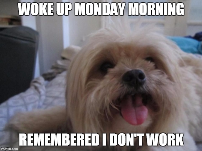 WOKE UP MONDAY MORNING REMEMBERED I DON'T WORK | image tagged in happy dog | made w/ Imgflip meme maker
