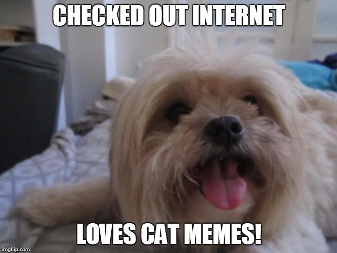 Happy dog | CHECKED OUT INTERNET LOVES CAT MEMES! | image tagged in happy dog | made w/ Imgflip meme maker