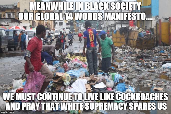 MEANWHILE IN BLACK SOCIETY OUR GLOBAL 14 WORDS MANIFESTO.... WE MUST CONTINUE TO LIVE LIKE COCKROACHES AND PRAY THAT WHITE SUPREMACY SPARES  | image tagged in i care about black people,racism | made w/ Imgflip meme maker