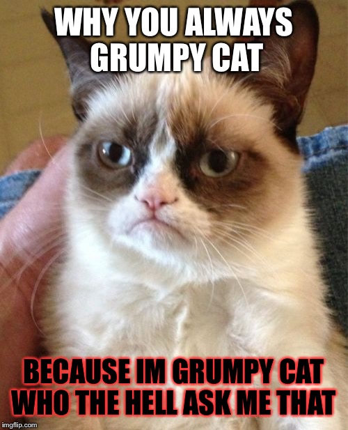 Cat Meme WHY YOU ALWAYS GRUMPY CAT BECAUSE IM GRUMPY CAT WHO THE HELL ASK.....