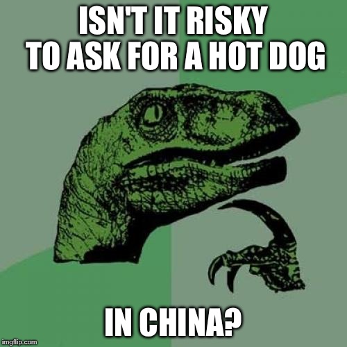 Philosoraptor | ISN'T IT RISKY TO ASK FOR A HOT DOG IN CHINA? | image tagged in memes,philosoraptor | made w/ Imgflip meme maker