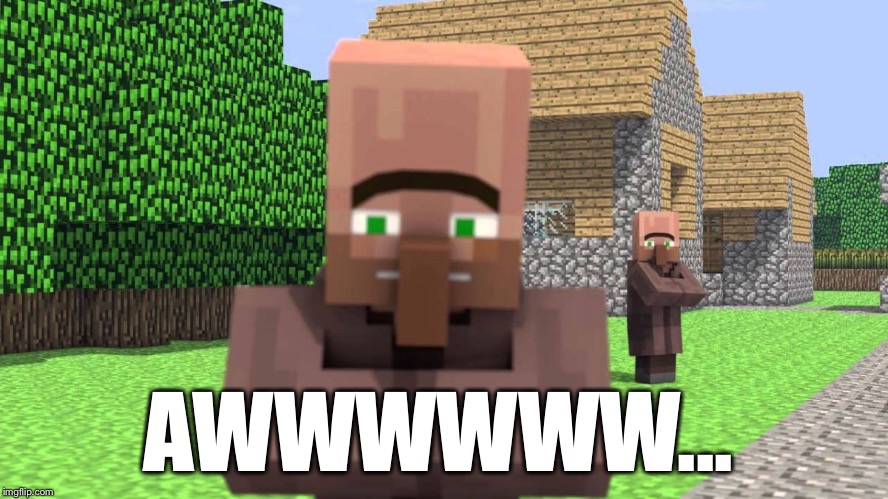 AWWWWWW... | image tagged in villager awwww,minecraft | made w/ Imgflip meme maker