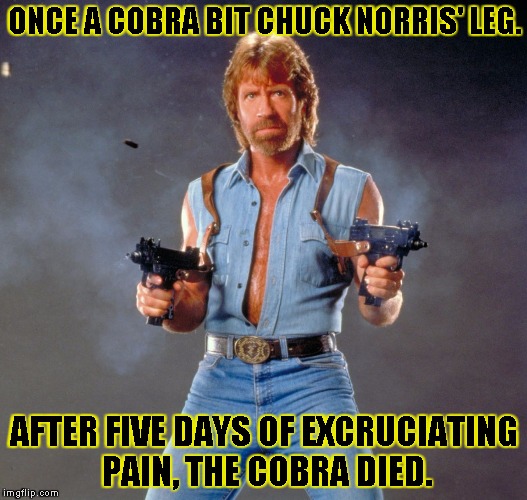 Chuck Norris Guns | ONCE A COBRA BIT CHUCK NORRIS' LEG. AFTER FIVE DAYS OF EXCRUCIATING PAIN, THE COBRA DIED. | image tagged in chuck norris | made w/ Imgflip meme maker