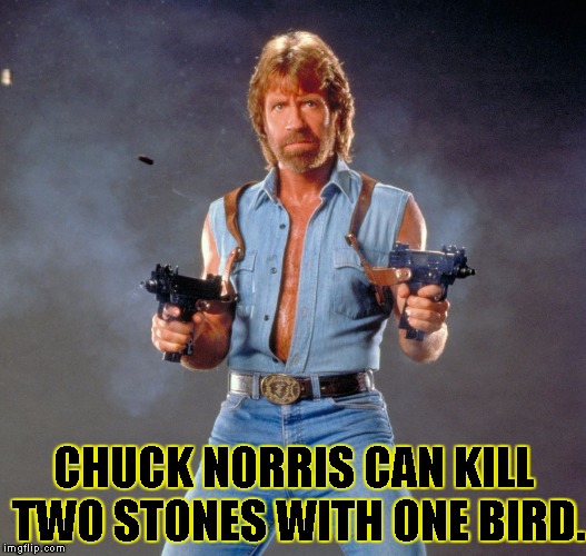 Chuck Norris Guns | CHUCK NORRIS CAN KILL TWO STONES WITH ONE BIRD. | image tagged in chuck norris | made w/ Imgflip meme maker