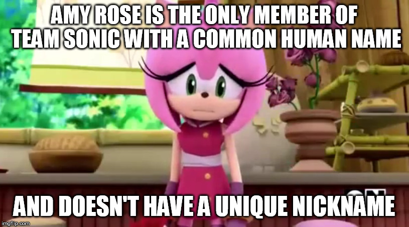 Amy Rose | AMY ROSE IS THE ONLY MEMBER OF TEAM SONIC WITH A COMMON HUMAN NAME AND DOESN'T HAVE A UNIQUE NICKNAME | image tagged in sonic boom,amy rose | made w/ Imgflip meme maker