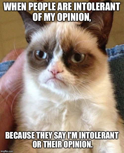 Grumpy Cat | WHEN PEOPLE ARE INTOLERANT OF MY OPINION, BECAUSE THEY SAY I'M INTOLERANT OR THEIR OPINION. | image tagged in memes,grumpy cat | made w/ Imgflip meme maker