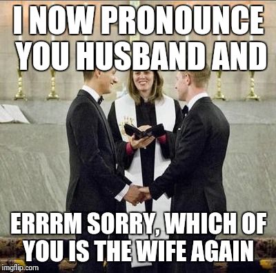 AWKWARD | I NOW PRONOUNCE YOU HUSBAND AND ERRRM SORRY, WHICH OF YOU IS THE WIFE AGAIN | image tagged in hawkward,gay marriage,awkward,wedding | made w/ Imgflip meme maker