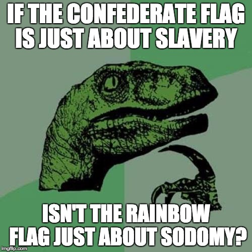 Philosoraptor | IF THE CONFEDERATE FLAG IS JUST ABOUT SLAVERY ISN'T THE RAINBOW FLAG JUST ABOUT SODOMY? | image tagged in memes,philosoraptor | made w/ Imgflip meme maker
