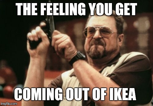 Am I The Only One Around Here | THE FEELING YOU GET COMING OUT OF IKEA | image tagged in memes,am i the only one around here | made w/ Imgflip meme maker