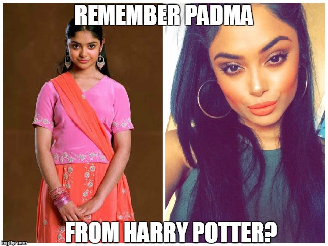 Padma Patil | FROM HARRY POTTER? REMEMBER PADMA | image tagged in harry potter | made w/ Imgflip meme maker