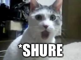 omg cat 2 | *SHURE | image tagged in omg cat 2 | made w/ Imgflip meme maker