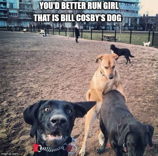 YOU'D BETTER RUN GIRL THAT IS BILL COSBY'S DOG | image tagged in bill cosby | made w/ Imgflip meme maker