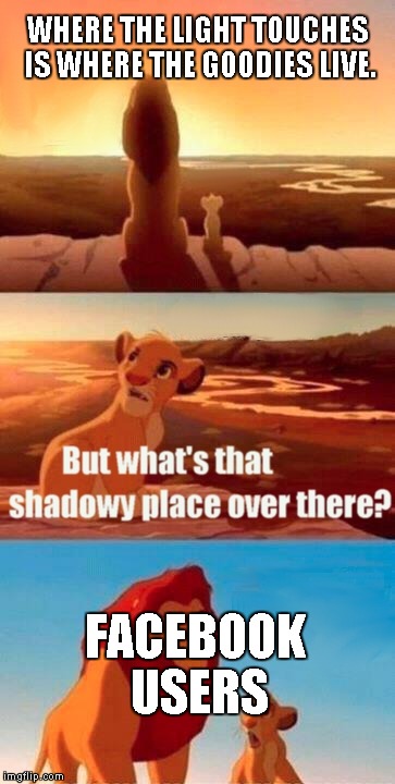 Simba Shadowy Place | WHERE THE LIGHT TOUCHES IS WHERE THE GOODIES LIVE. FACEBOOK USERS | image tagged in memes,simba shadowy place | made w/ Imgflip meme maker