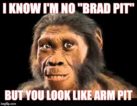 Aperham Lincoln | I KNOW I'M NO "BRAD PIT" BUT YOU LOOK LIKE ARM PIT | image tagged in brad pitt,ape,monkey | made w/ Imgflip meme maker