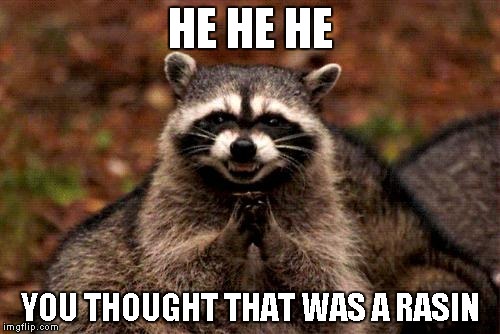 Evil Plotting Raccoon | HE HE HE YOU THOUGHT THAT WAS A RASIN | image tagged in memes,evil plotting raccoon | made w/ Imgflip meme maker