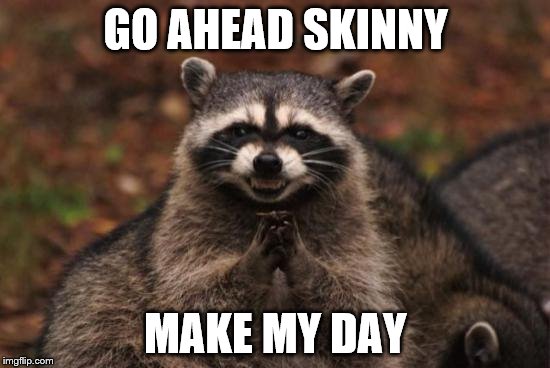 Evil racoon | GO AHEAD SKINNY MAKE MY DAY | image tagged in evil racoon | made w/ Imgflip meme maker