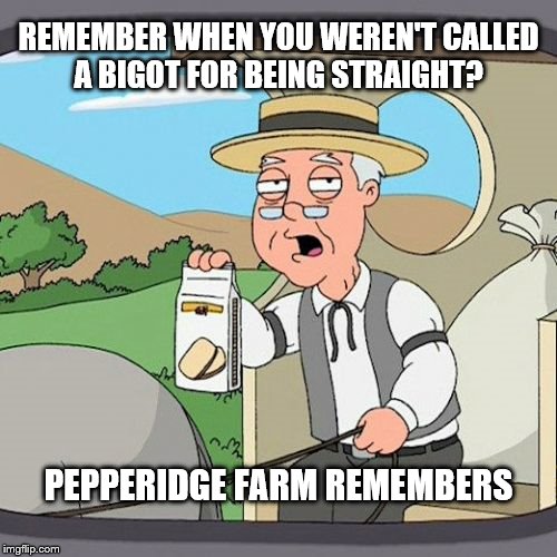 Pepperidge Farm Remembers Meme | REMEMBER WHEN YOU WEREN'T CALLED A BIGOT FOR BEING STRAIGHT? PEPPERIDGE FARM REMEMBERS | image tagged in memes,pepperidge farm remembers | made w/ Imgflip meme maker