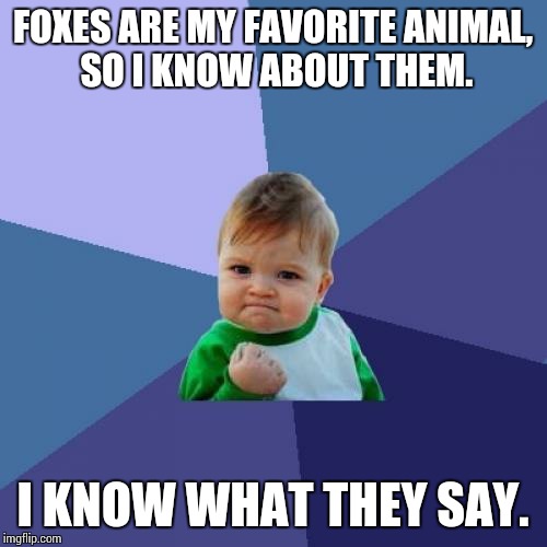 Success Kid Meme | FOXES ARE MY FAVORITE ANIMAL, SO I KNOW ABOUT THEM. I KNOW WHAT THEY SAY. | image tagged in memes,success kid | made w/ Imgflip meme maker