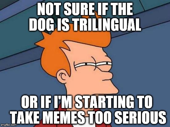 Futurama Fry Meme | NOT SURE IF THE DOG IS TRILINGUAL OR IF I'M STARTING TO TAKE MEMES TOO SERIOUS | image tagged in memes,futurama fry | made w/ Imgflip meme maker