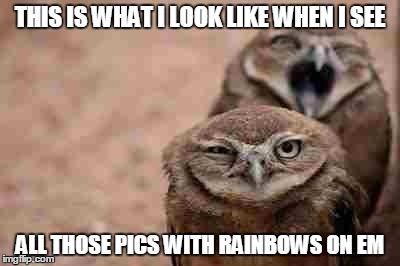 Annoyed Owl | THIS IS WHAT I LOOK LIKE WHEN I SEE ALL THOSE PICS WITH RAINBOWS ON EM | image tagged in annoyed owl | made w/ Imgflip meme maker
