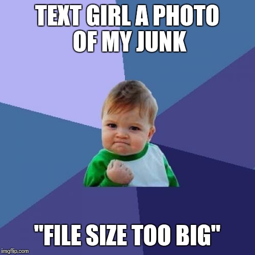 Success Kid Meme | TEXT GIRL A PHOTO OF MY JUNK "FILE SIZE TOO BIG" | image tagged in memes,success kid | made w/ Imgflip meme maker